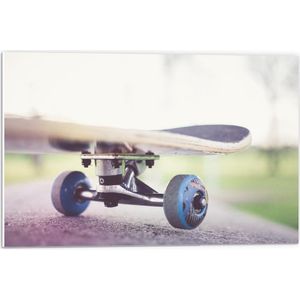 Forex - Skateboard met Blauwe Wieltjes - 60x40cm Foto op Forex
