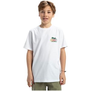 Quiksilver Ev Sunny Palms T-shirt Met Korte Mouwen Wit 8 Years Jongens