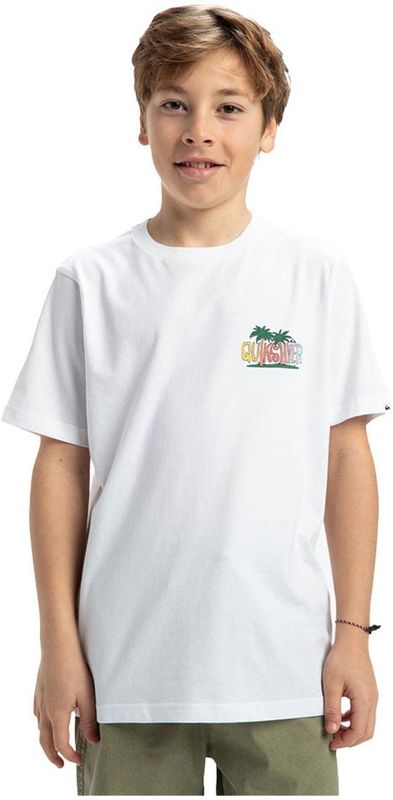 Quiksilver Ev Sunny Palms T-shirt Met Korte Mouwen Wit 8 Years Jongens