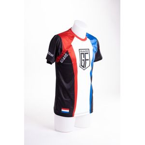 Dutch Pride Cool Dry Fit