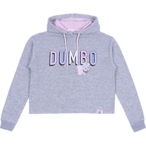 Grijs Dumbo DISNEY sweatshirt