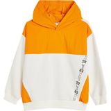 Sweatshirt - Met Drukwerk - Bci-Katoen - Normaal - Lange Mouw - Capuchon Kraag