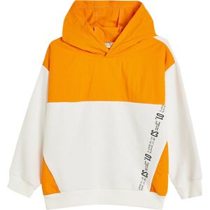 Sweatshirt - Met Drukwerk - Bci-Katoen - Normaal - Lange Mouw - Capuchon Kraag