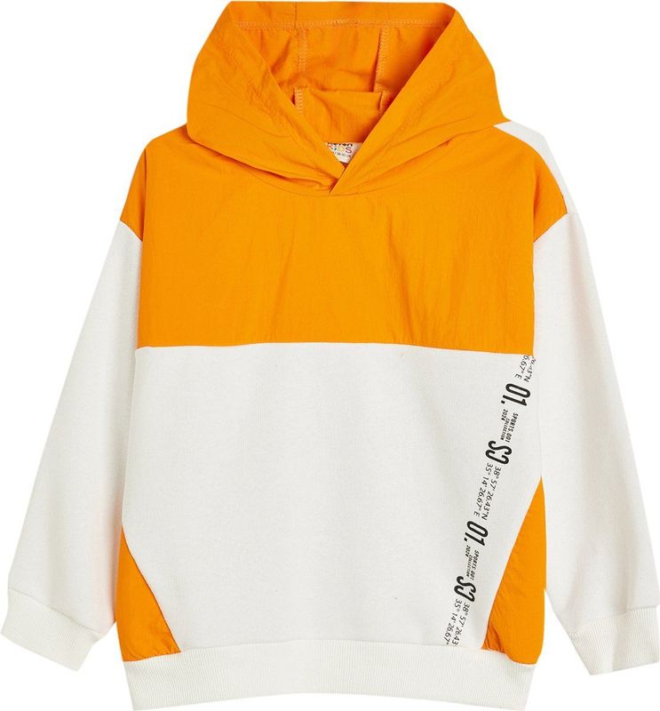 Sweatshirt - Met Drukwerk - Bci-Katoen - Normaal - Lange Mouw - Capuchon Kraag