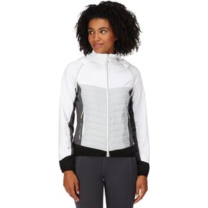Regatta - Steren Hybrid - Softshelljack - Dames