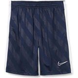 Nike Dry Academy 19 Korte Broek Blauw 12 Years Jongens