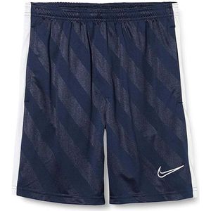 Nike Dry Academy 19 Korte Broek Blauw 12 Years Jongens