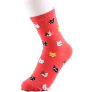 Sokken met kattenkopjes kleur Rood Unisex kat - kattensokken maat 36-41