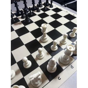 Beste Schaakspel Ooit - Staunton Triple weight- prachtige set in luxe doos - Koning 10 cm