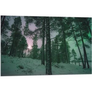 WallClassics - Vlag - Het Noorderlicht door Bomen heen in Noorwegen - 90x60 cm Foto op Polyester Vlag