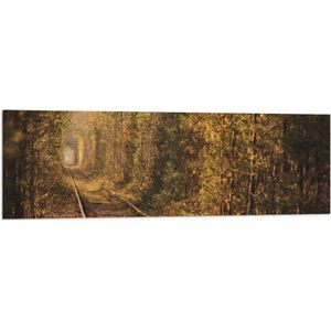 Vlag - Tunnel vna de Liefde in Oekraïne - 120x40 cm Foto op Polyester Vlag