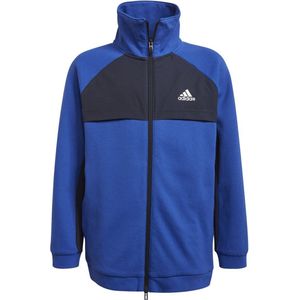 Adidas XFG Sweatshirt Bold Blue / White - 9-10 jaar - Kinderen