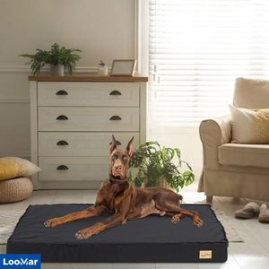 LooMar Hondenbed Large - Hondenbank - Hondenzetel - Hondensofa - Hondenbench - Hondenbed - Hondenstoel - dierenfauteuil - Hondenmand - Kussen - Zwart