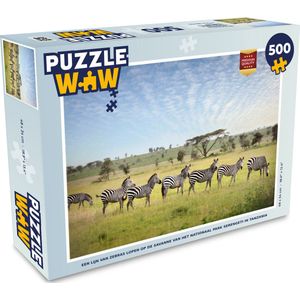 Puzzel Een lijn van Zebras lopen op de savanne van het Nationaal park Serengeti in Tanzania - Legpuzzel - Puzzel 500 stukjes