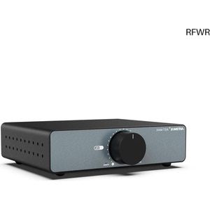 RFWR® Krachtige Mini HiFi Versterker 600W - Overbrugbare Mono Stereo Eindversterker met 3,5 mm Uitgang