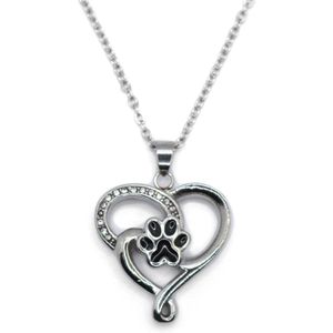 Assieraad - Ashanger met ketting en vulsetje - Mini urn - Hartje met dierenpootje - Zilverkleurig