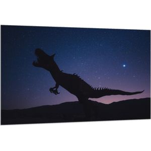 WallClassics - Vlag - Silhouette van een Dinosaurus in de Nacht - 150x100 cm Foto op Polyester Vlag