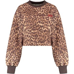 Harper & Yve - DARCY-SW - Dames - Truien