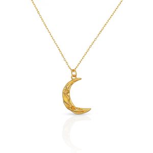 Schitterende Golden Plated Zilveren Halsketting met Maan Hanger