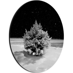 WallClassics - Dibond Ovaal - Wit Besneeuwde Kerstboom in het Donker - 21x28 cm Foto op Ovaal (Met Ophangsysteem)