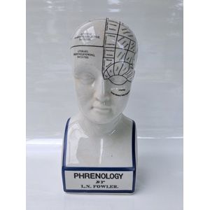 Porseleinen - Phrenology PV74200 hoofd - hoogte 30 cm - neuroloog - hersenen met gezicht en engelse tekst - Frenologie