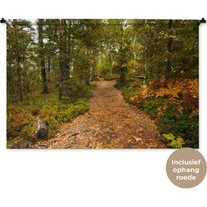 Wandkleed Bospaden - Een bospad vol met bladeren Wandkleed katoen 150x100 cm - Wandtapijt met foto