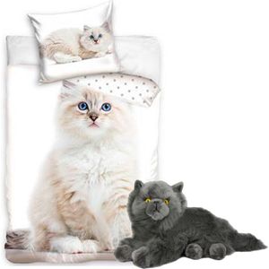 Realistische slapende kat levensechte pluche nep kitten fur harige  dierlijke beeldje speelgoed home decorations - geel - online kopen | Lage  prijs | beslist.nl