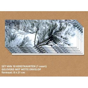 Luxe kerstkaarten met enveloppen, Sneeuwlandschap - 10 stuks