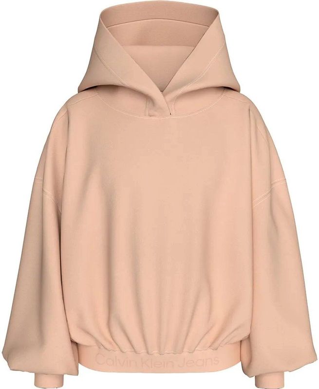 Calvin Klein Jeans Punto Tape Hoodie Roze 4 Years Meisjes