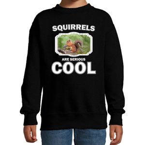 Dieren eekhoorntjes sweater zwart kinderen - squirrels are serious cool trui jongens/ meisjes - cadeau eekhoorntje/ eekhoorntjes liefhebber - kinderkleding / kleding 134/146