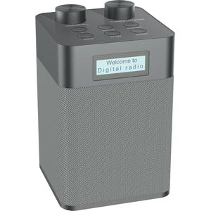 Draagbare DAB-radio, MP3-speler, USB, oplaadbaar, Bluetooth/U-schijf