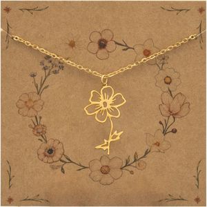 Bixorp Geboortebloem Ketting Oktober / Cosmea - Goudkleurig Roestvrij Staal - Bloem Cadeau voor Dames & Meisjes