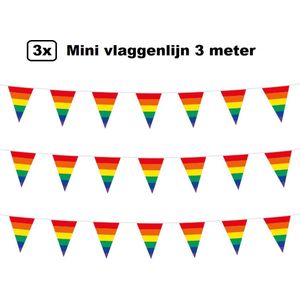 3x Mini vlaggenlijn regenboog 3 meter - 10x 15cm - Huwelijk thema feest festival vlaglijn party