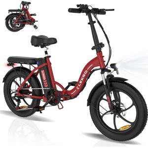 ELEKGO Elektrische Fiets EG06S - 20*3.0 Inch Fat Tire City Commuter EBike met Afneembare 36V 12Ah Lithium Batterij - Opvouwbaar Mountain E-Bike met 250W Motor - 7 Versnellingen - IP54 Waterdicht