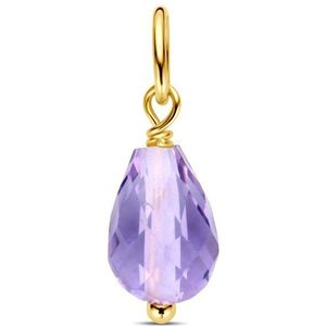 14K geelgoud hanger amethist 4030769