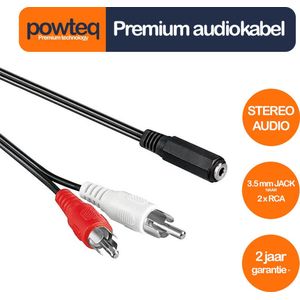 Powteq - 20 cm premium audiokabel - 2x RCA naar 3.5 mm jack (hoofdtelefoonaansluiting) - Stereo