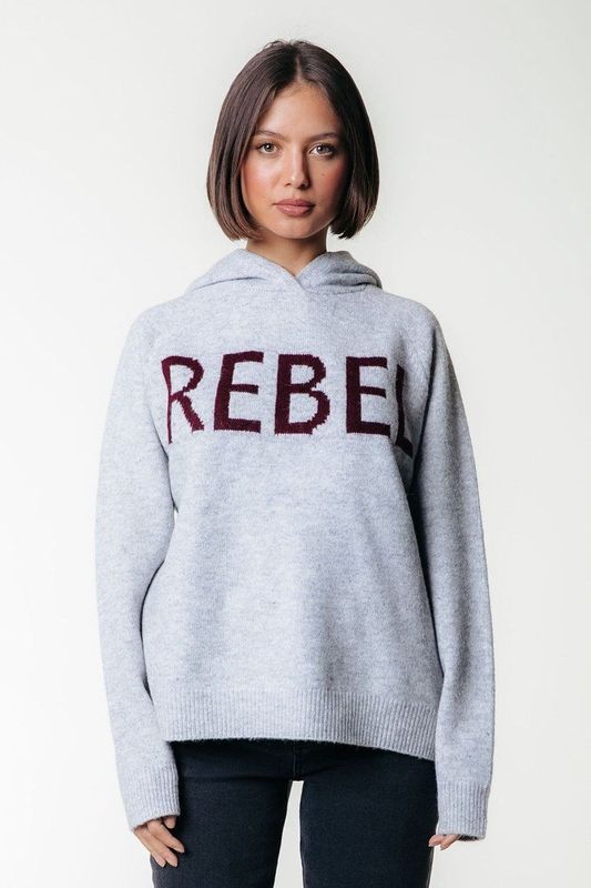 Colourful Rebel - Hoodie Rebel - Grey - Hoodie