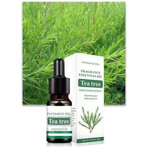 DW4Trading Essentiële Etherische Olie - Aromatherapie - Heerlijke Geuren - 10 ml - Tea Tree