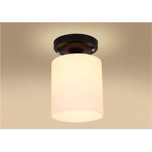 Groenovatie Plafondlamp E27 Fitting - 130x190 mm