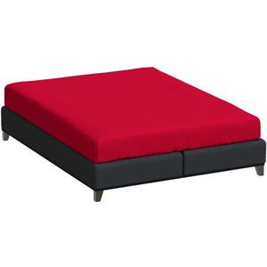 Bella Donna Lits-jumeaux XL Hoeslaken Jersey - rood-0185 200/220-220/240