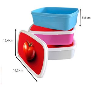 Broodtrommel Blauw - Lunchbox Tomaat - Rood - Hart - Brooddoos 18x12x6 cm - Brood lunch box - Broodtrommels voor kinderen en volwassenen