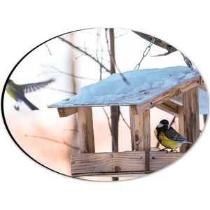 Dibond Ovaal - Koolmeesje in Vogelhuisje op Winterse Dag - 28x21 cm Foto op Ovaal (Met Ophangsysteem)