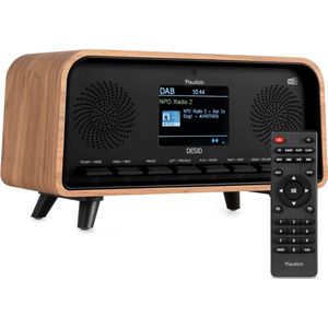 Audizio - Desio - DAB Radio - Houtlook Licht - Retro Radio met Bluetooth - DAB en FM