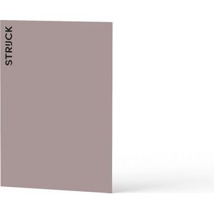 STRIJCK - Muurverf Kleurtester - Aubergine - 037N-4