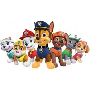 Diamond painting Paw Patrol, 60x40 cm vierkante stenen