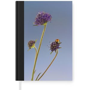 Notitieboek - Schrijfboek - Lieveheersbeestje op bloem blauwe lucht - Notitieboekje klein - A5 formaat - Schrijfblok