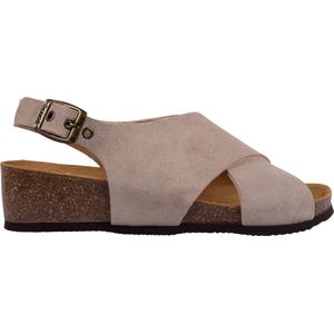 SCHOLL AMELIE Sue-W Dames Sandalen - Taupe - Maat 37