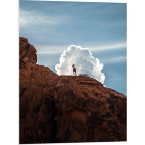 PVC Schuimplaat- Geitje op Hoge Bruine Berg voor Witte Wolk - 60x80 cm Foto op PVC Schuimplaat