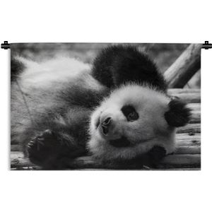 Wandkleed Dierenprofielen in Zwart-Wit - Dierenprofiel rollende panda in zwart-wit Wandkleed katoen 180x120 cm - Wandtapijt met foto XXL / Groot formaat!