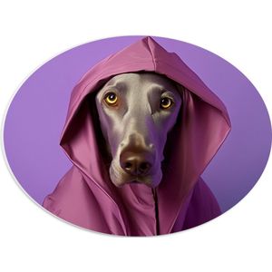 PVC Schuimplaat Ovaal - Portret van Bruine Duitse Dog Hond in Roze Regenjas - 40x30 cm Foto op Ovaal (Met Ophangsysteem)